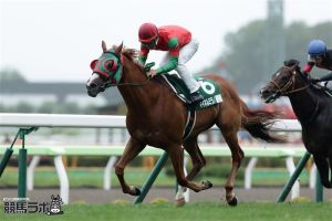 20160717_Meiner_Milano