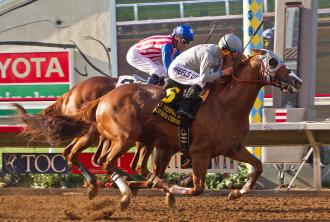 20160723_California_Chrome