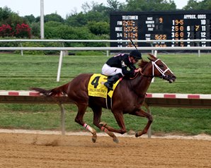 20170716_Im_a_Chatterbox