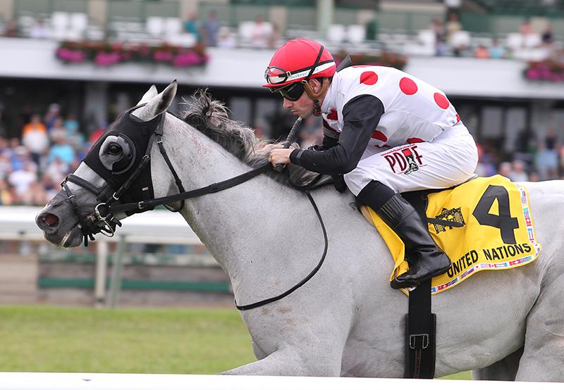 Source: tailormadestallions.com