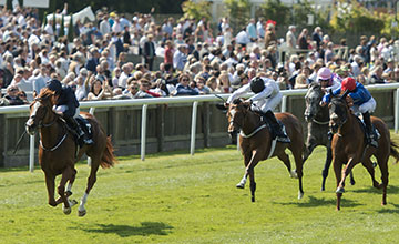 Source: racingpost.com/Edward Whitaker