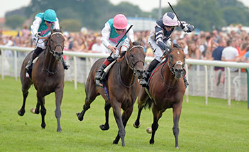 Source: racingpost.com/Edward Whitaker