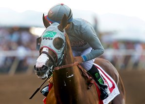 20160820_California_Chrome