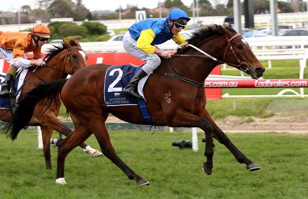 20160827_Black_Heart_Bart