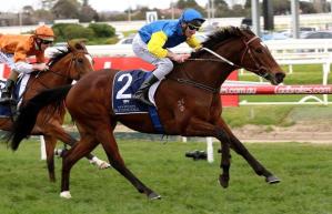 20160827_Black_Heart_Bart