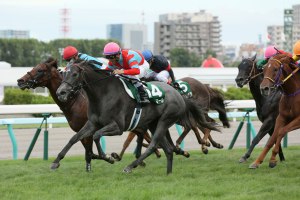 20160828_Blanc_Bonheur