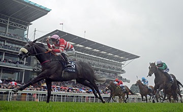 Source:racingpost.com/Martin Lynch