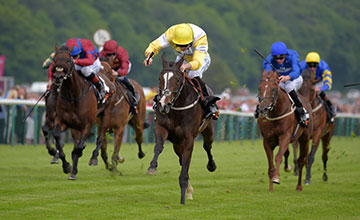 20160903_Quiet_Reflection