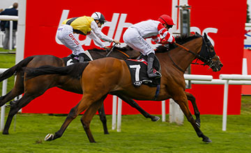 20160909_sheikhzayedroad