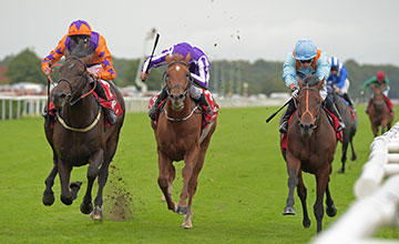 20160910_harbour_law