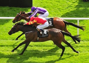 20160911_intricately