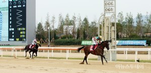 20160911_super_jockey