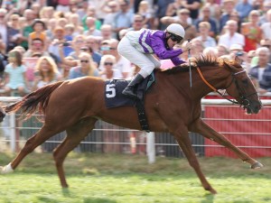 20160925_nightflower