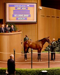 29160914_beholder_2015