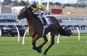 20160611_sacred_elixir