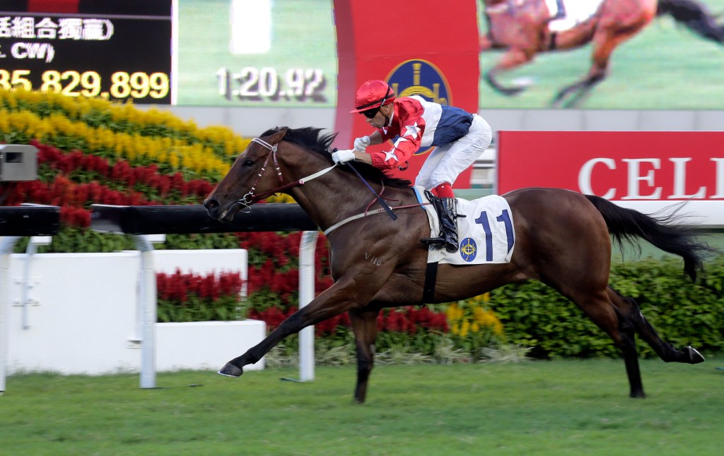 20161001_joyful_trinity