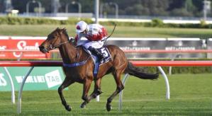 20161001_sir_john_hawkwood