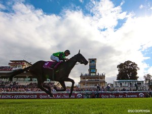 20161001_the_juliet_rose