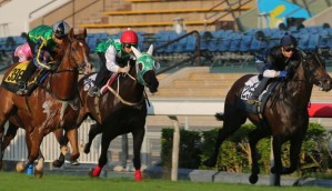 20161004_pakistan_star