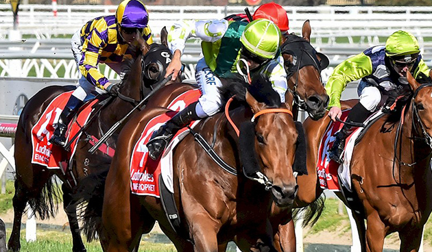 20161008_divine_prophet