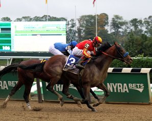 20161008_hoppertunity