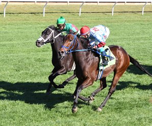 20161008_mongolian_saturday