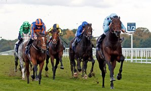 「好戰王」直路雖一度被困，但很快找到空位，保持勝機。 Source: Steven Cargill / Racingfotos.com