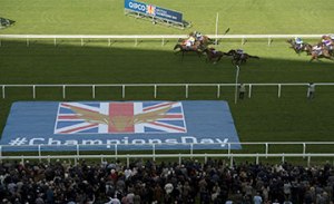 20161015_sheikhzayedroad