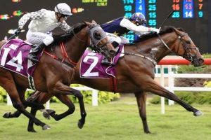 20161016_spainish_bay