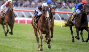 20161022_the_united_states