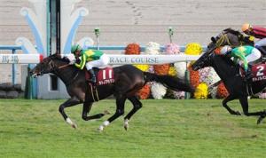 20161029_satono_aladdin