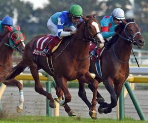 20161106_chavel_grand