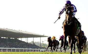 20161106_highland_reel