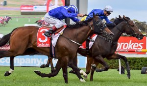 20161112_beautiful_romance