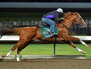 20161119_california_chrome