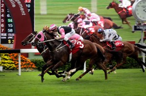 20161120_beauty_only