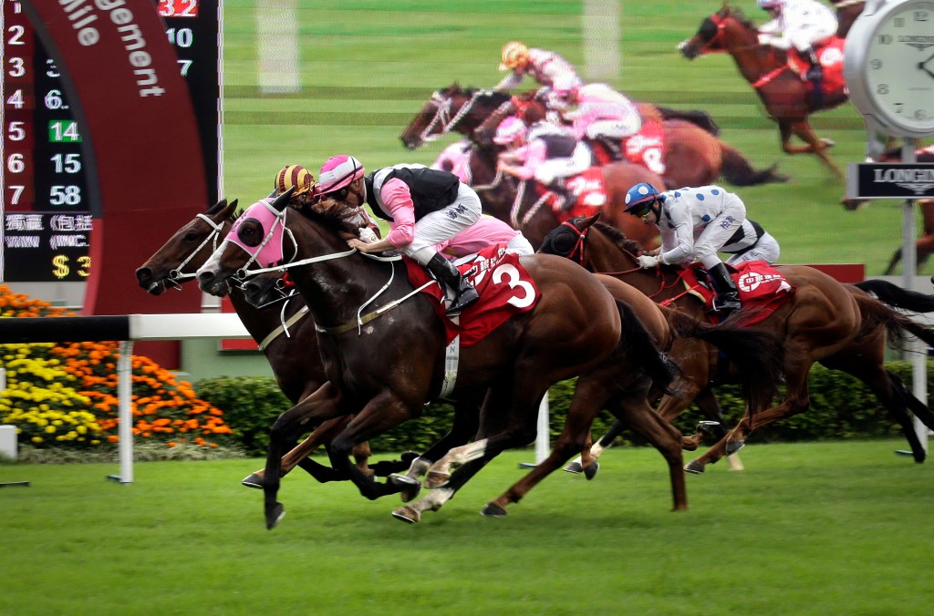 20161120_beauty_only