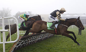 20161120_nichols_canyon