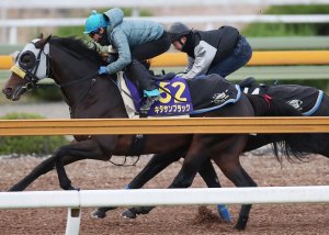 20161124_kitasan_black