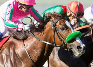 20161124_nuovo_record