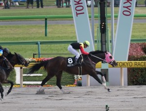 20160220_apollo_kentucky