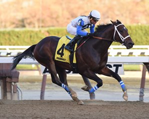 20161112_sticksstatelydude