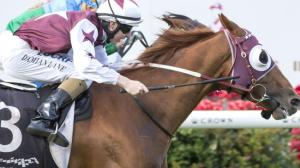 20161203_stratum_star