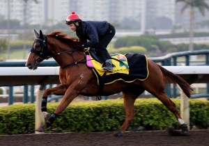 20161209_lucky_bubbles