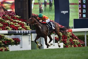 滿樂時在港三戰全勝，堪稱是傳奇中的傳奇 Source: Katsumi Saito