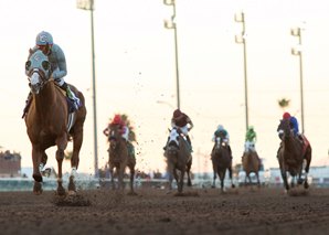 20161217_california_chrome