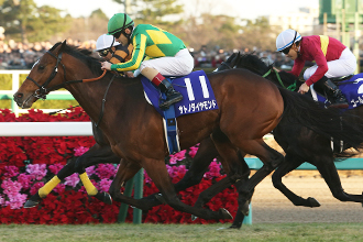 20161225_satono_diamond