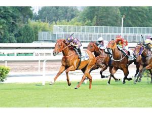 20161112_western_express