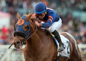 20161226_mind_your_biscuits