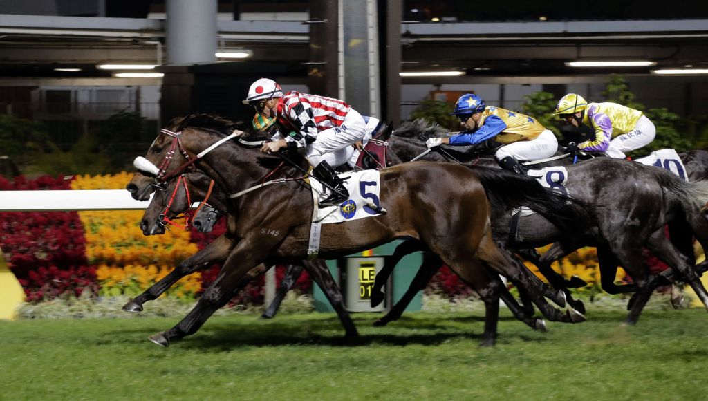 20170104_harbour_master